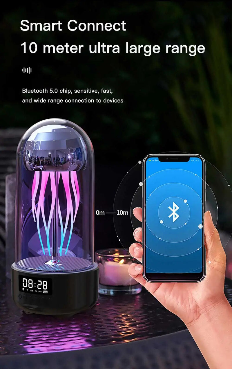 Portable Bluetooth Speakers