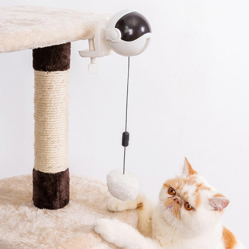 Automatic Pet Teasing